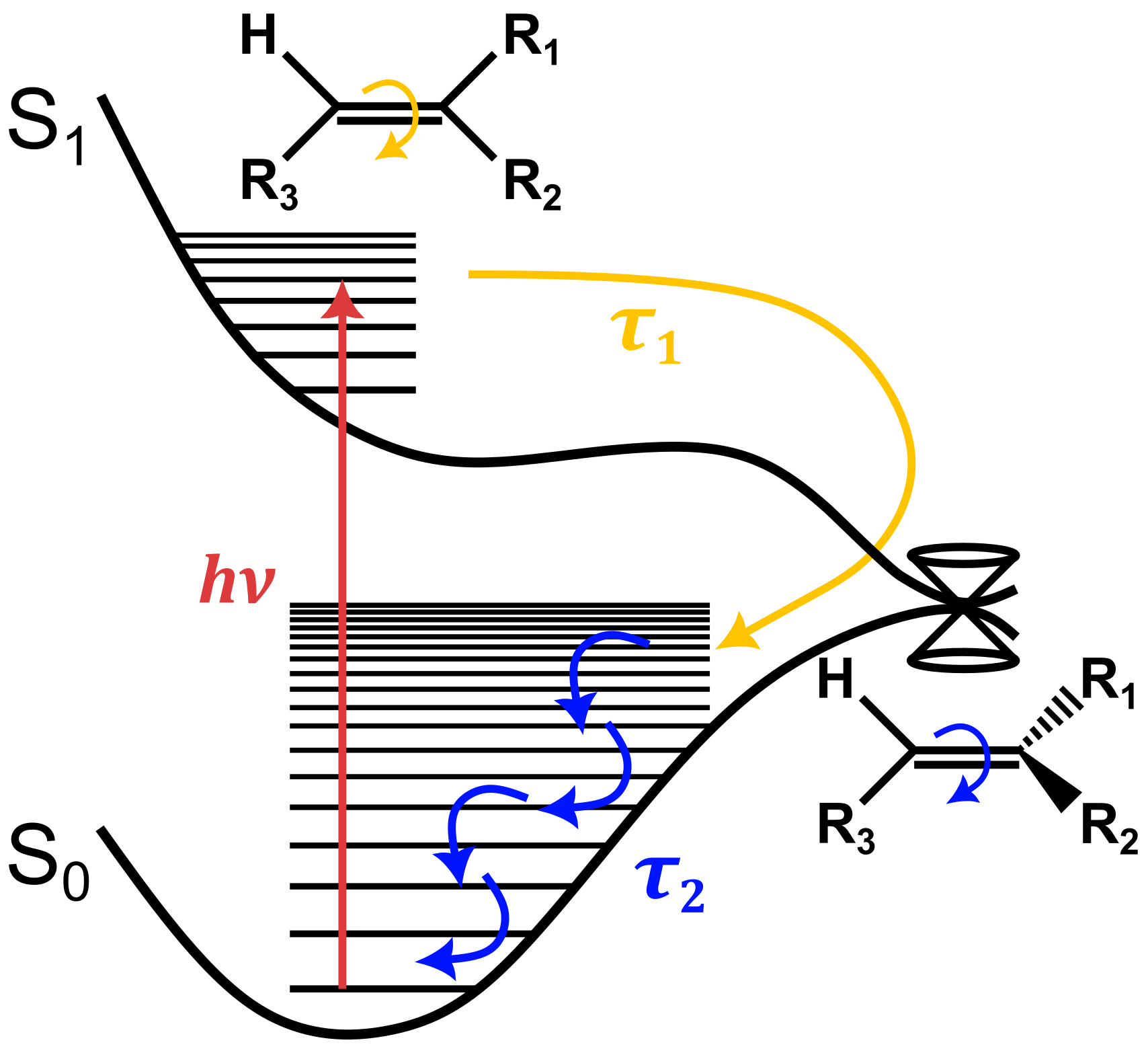 HGSC dynamics for the cyan fluorescent protein chromophore